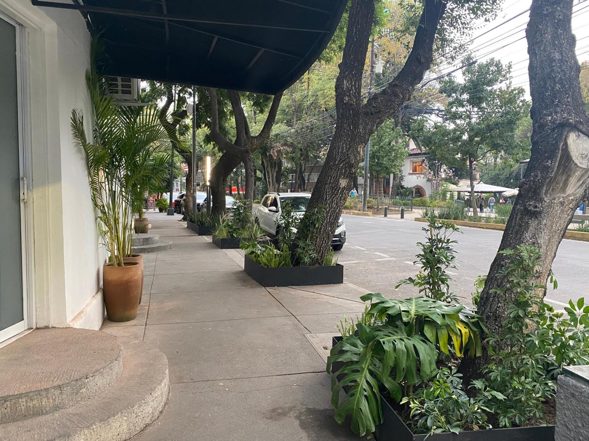 Casa Corp Boutique Suites In Condesa Mexico City Exterior photo